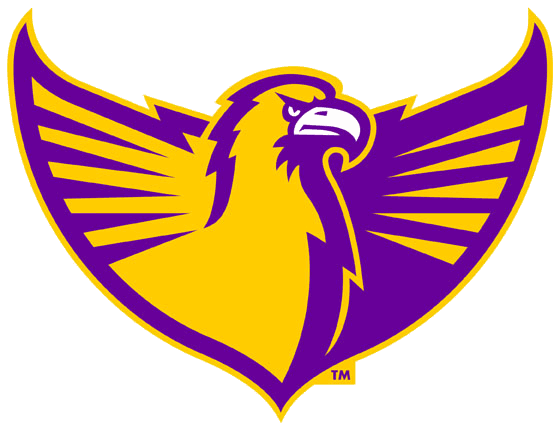 Tennessee Tech Golden Eagles 2006-Pres Alternate Logo v7 iron on transfers for T-shirts